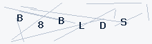 CAPTCHA verification code